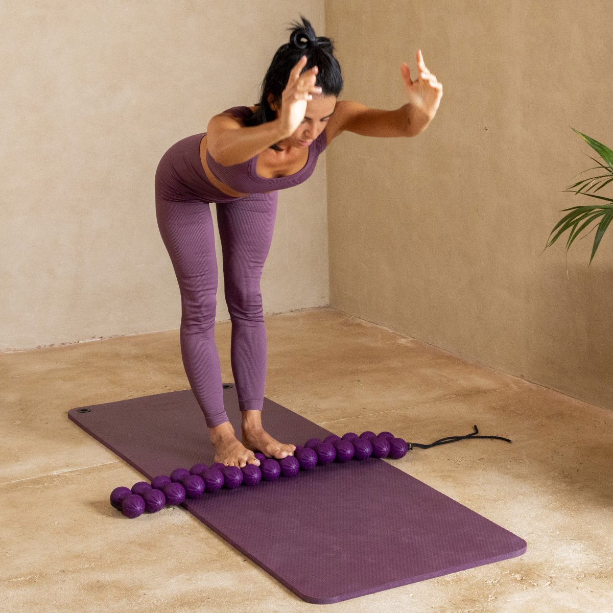 Wirbelsäulen-Aligner – Elina Pilates